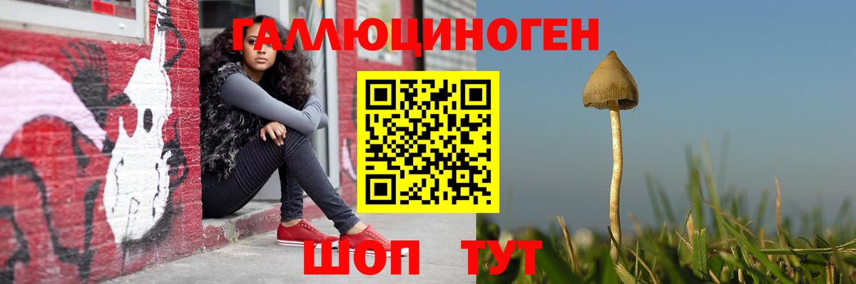 Галлюциногенные грибы Cubensis Дзержинск